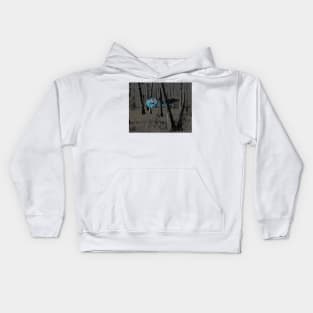 Will o Wisp Kids Hoodie